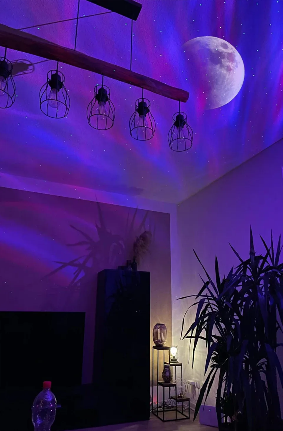 Détails du projecteur