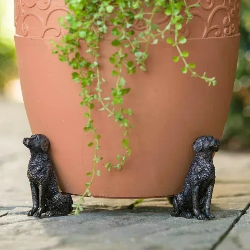 Installation jardin