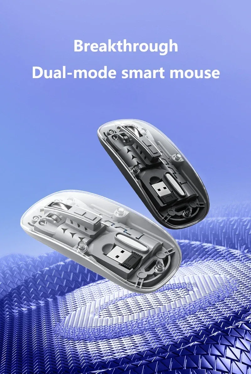 Souris Transparente Vue d'ensemble