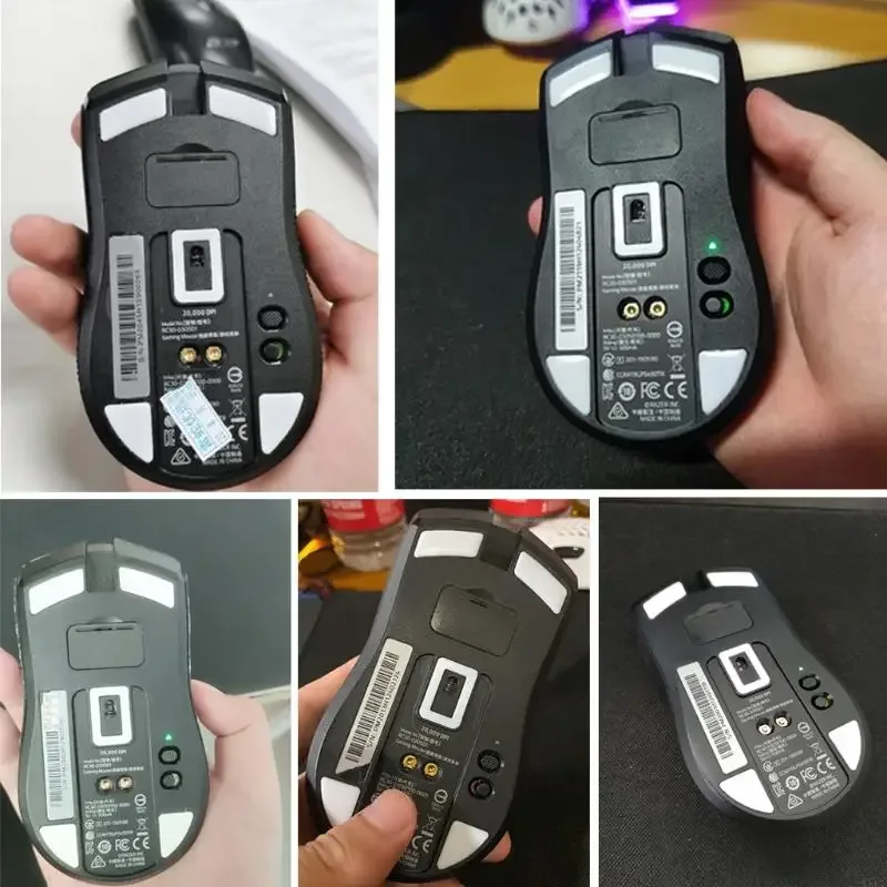 Détail des pieds de souris