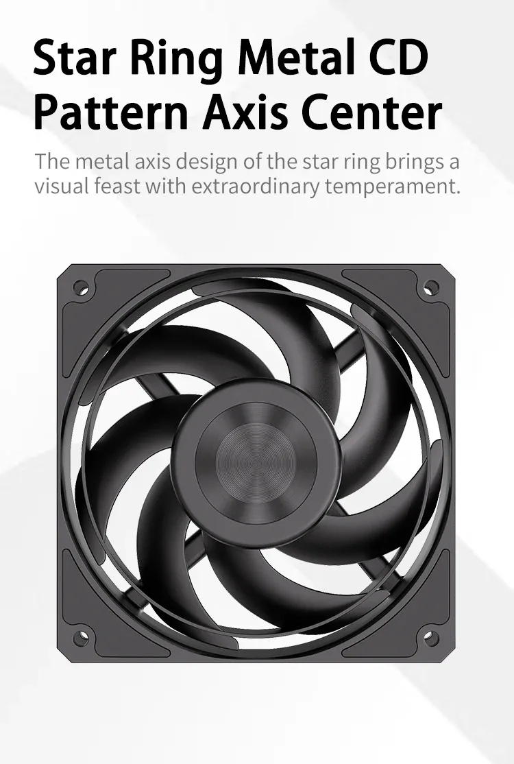 TEUCER B12 Performance
