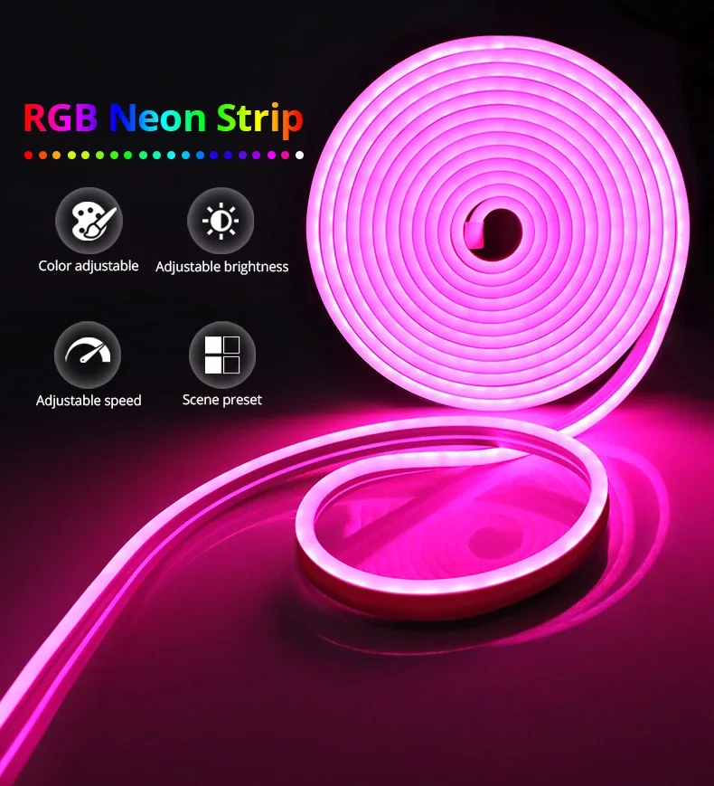Bande Lumineuse Néon RGB