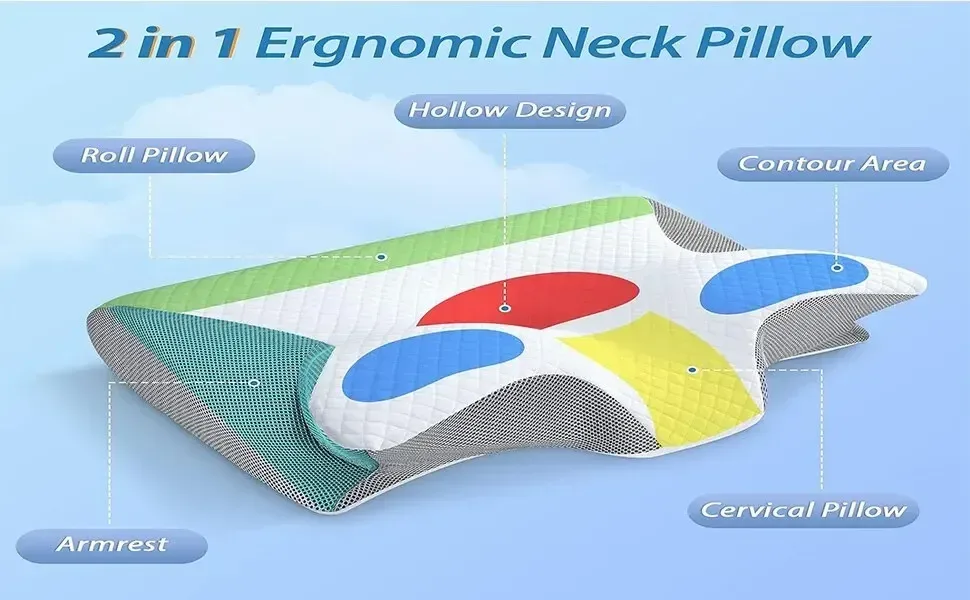 Zones de soutien cervical