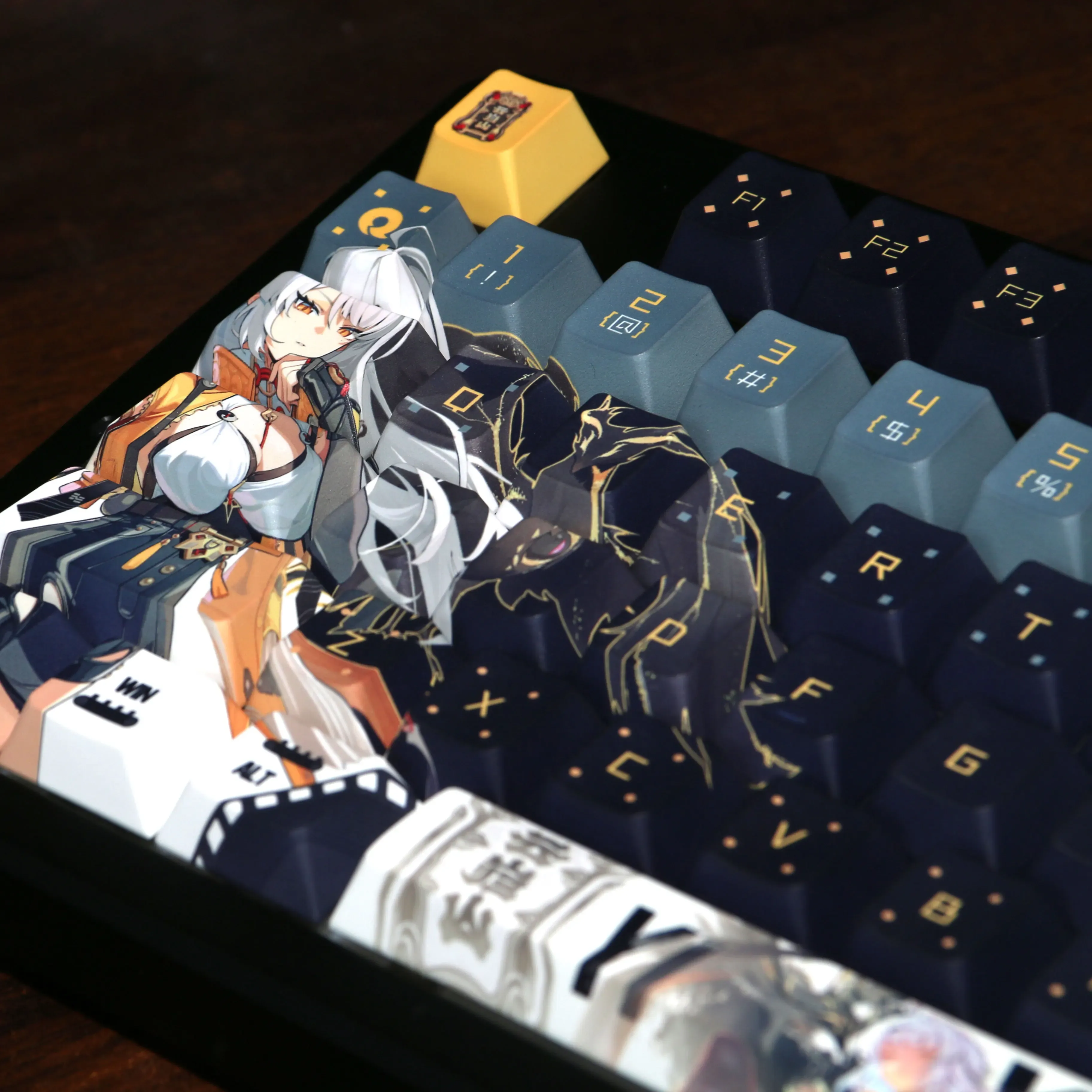 Texture PBT Premium