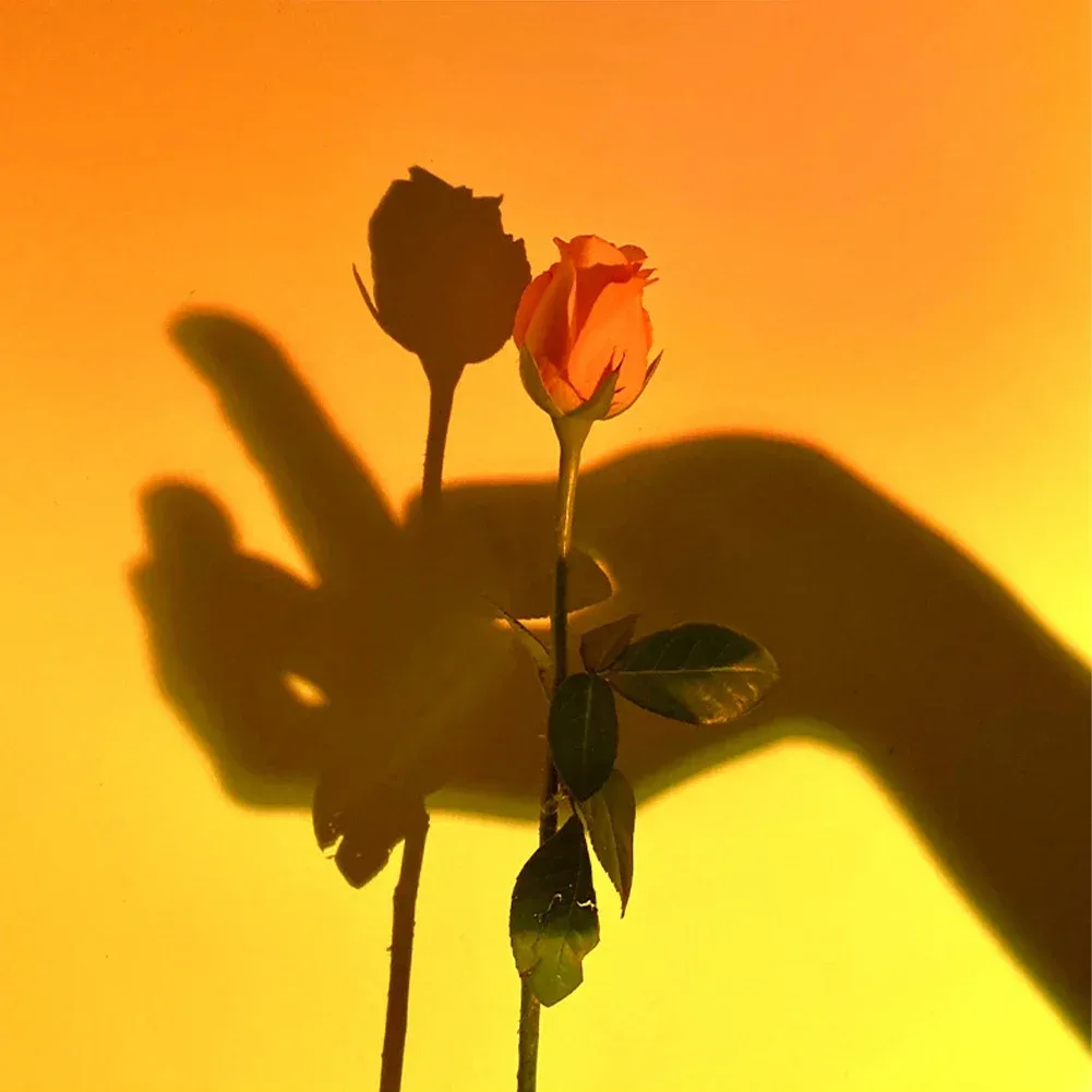 Couleurs chatoyantes