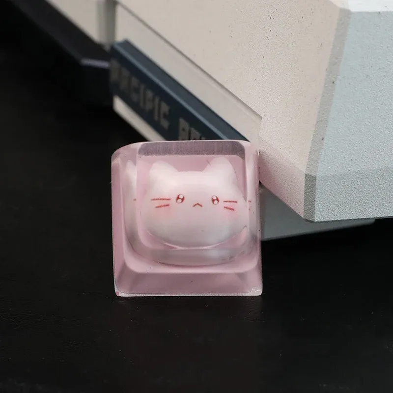 Vue d'ensemble du Keycap