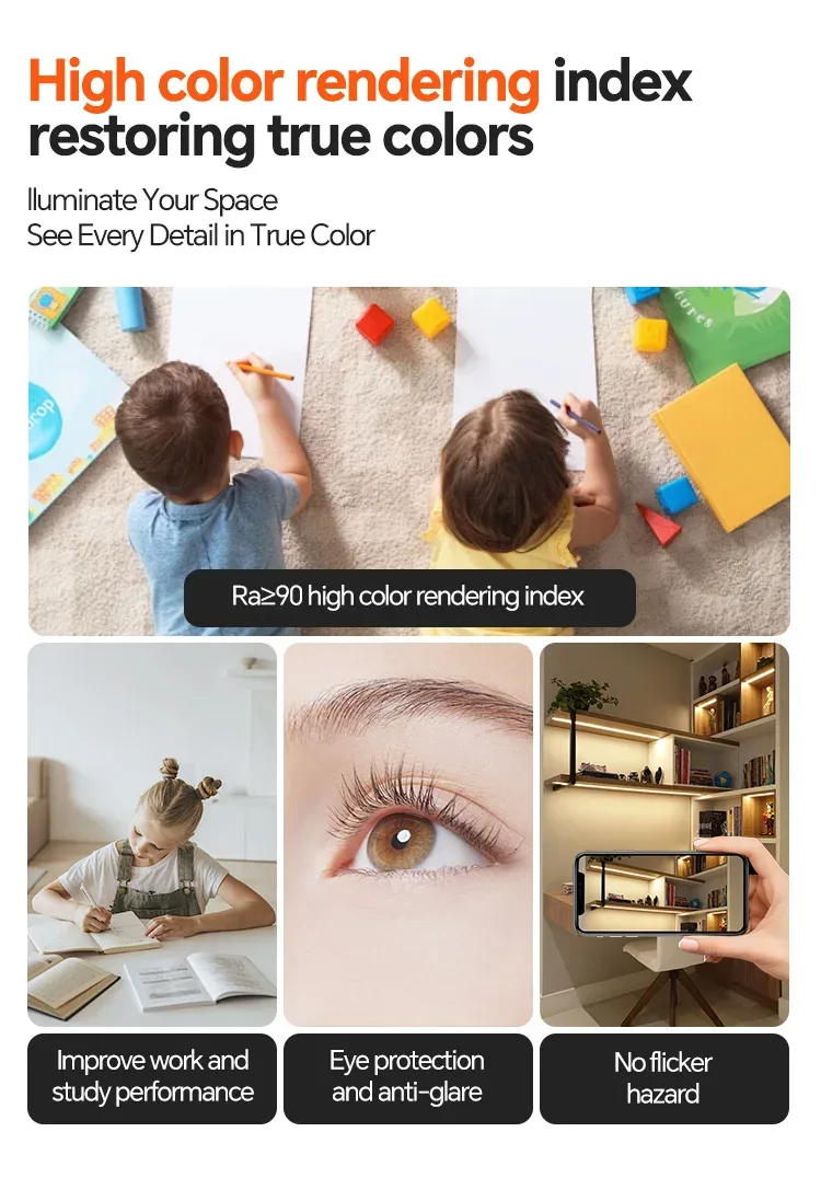 Dimensions et découpe