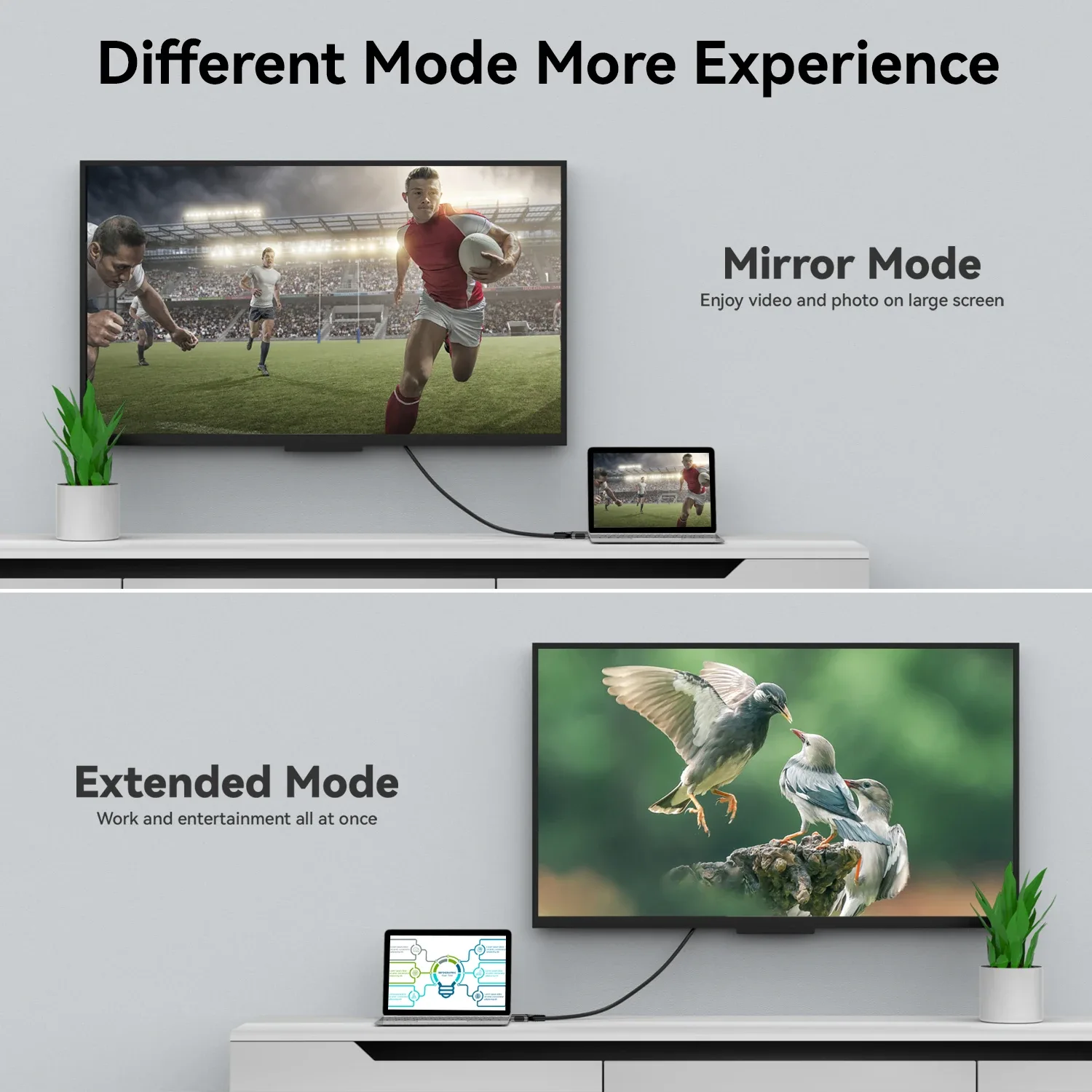 Détails techniques DisplayPort