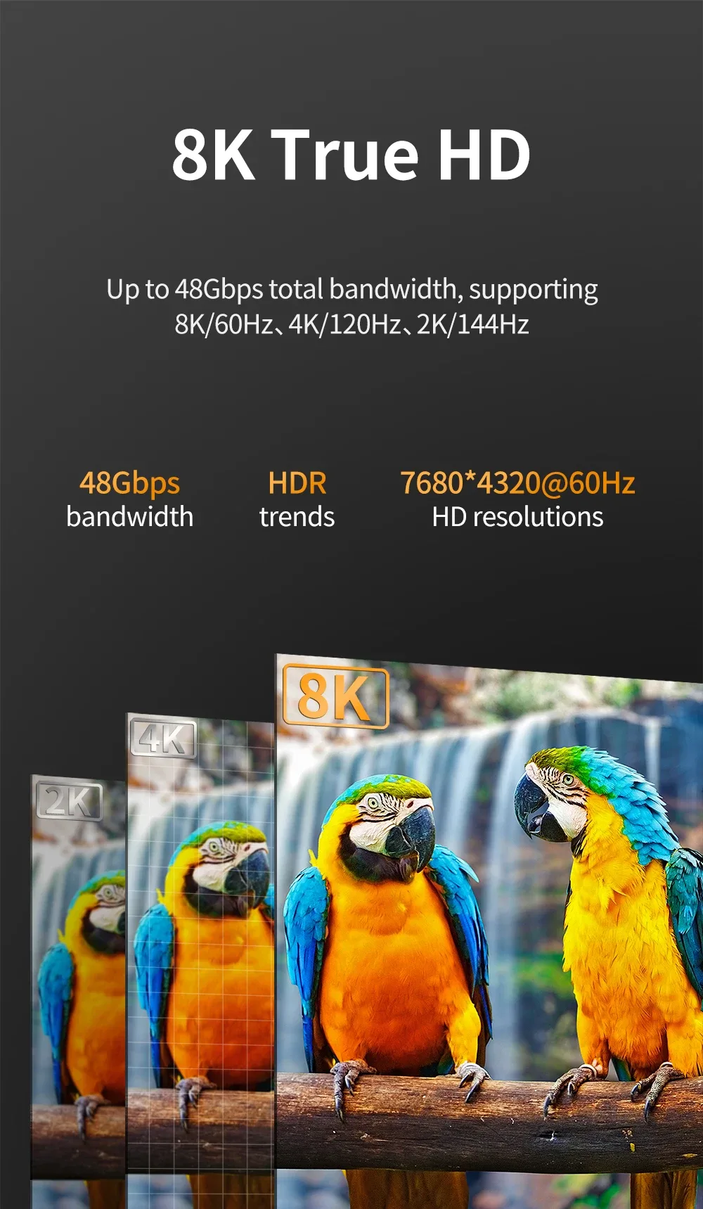 Détails techniques HDMI 2.1