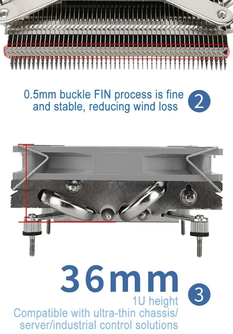 Dimensions détaillées