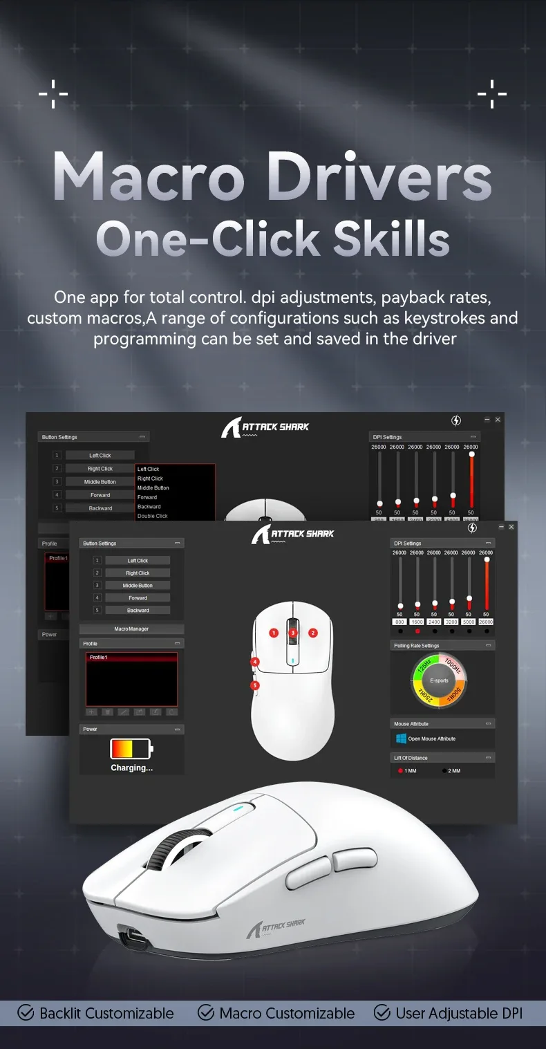 Driver Software Interface
