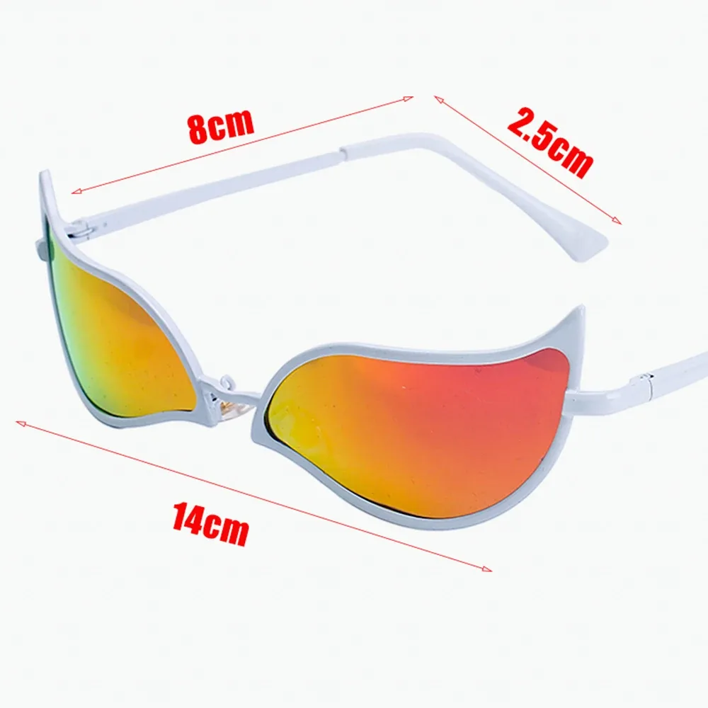 Détail des branches de lunettes
