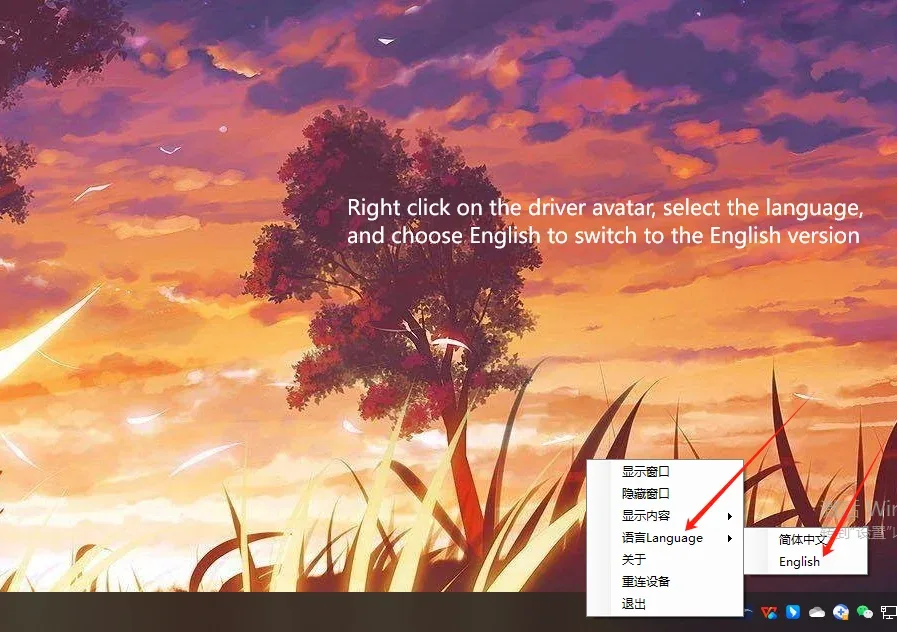 Driver Interface