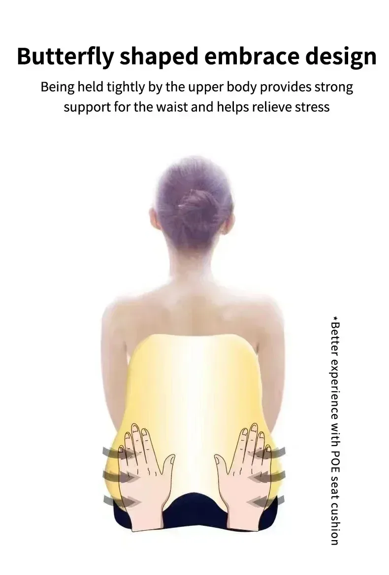 Anatomie du support