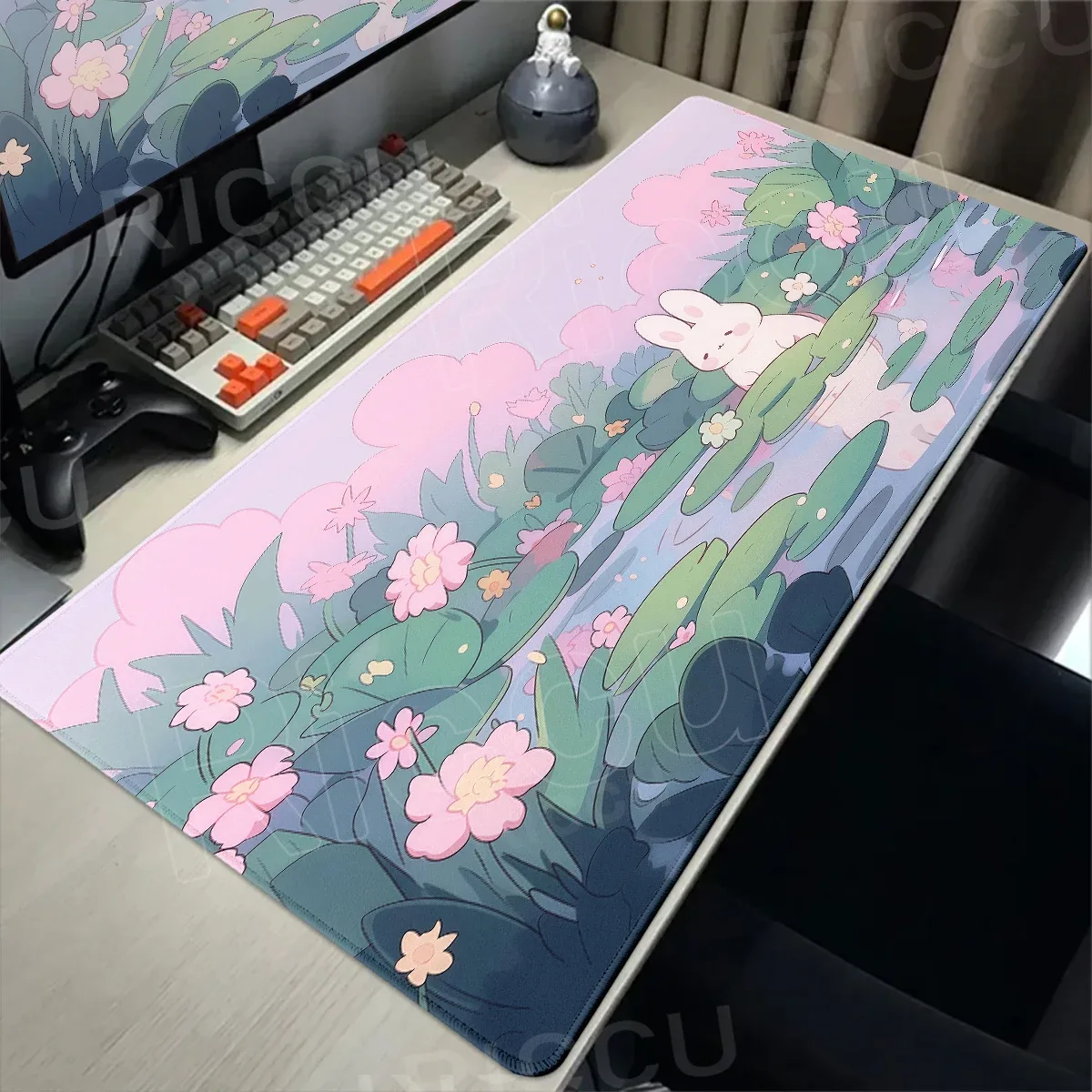 Format panoramique