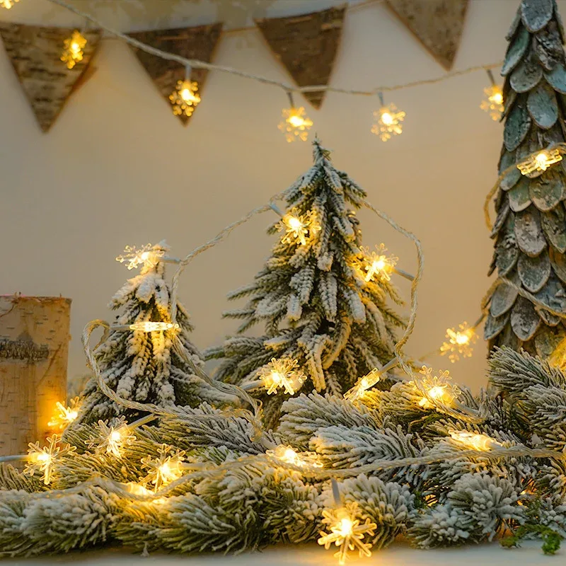 Ambiance Lumineuse