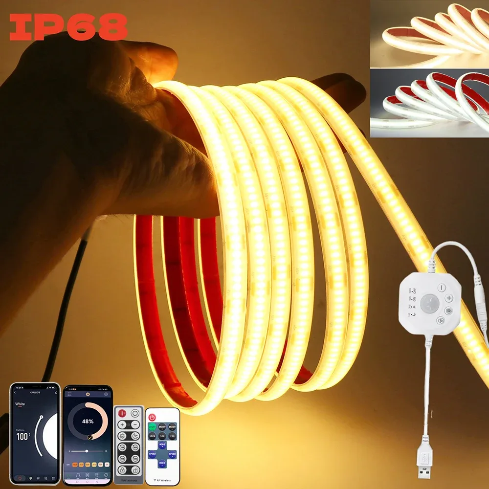 Détail du Ruban LED COB