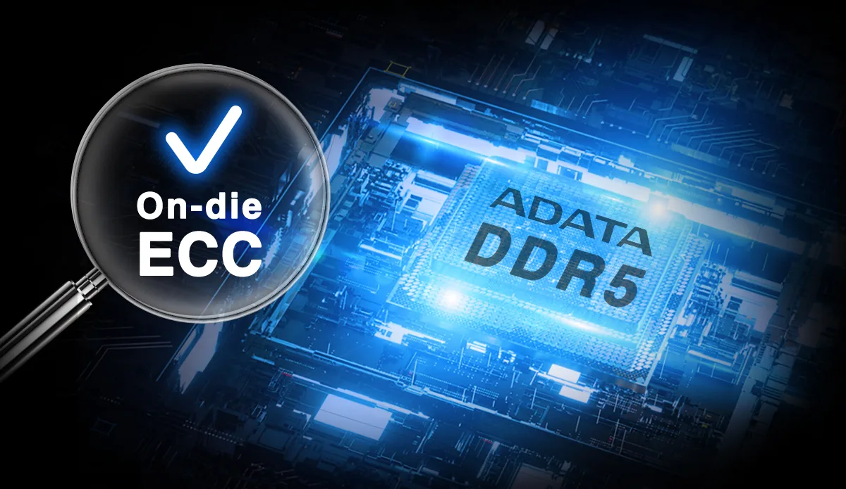 Compatibilité Intel et AMD