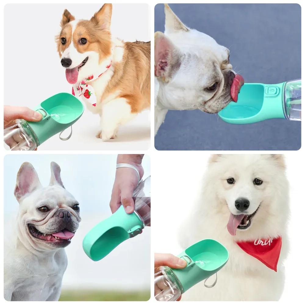 Gourde portable pour chien, pour petits et grands chiens et chats, pour l'extérieur, étanche, avec gamelle intégrée, pour Chihuahua et Bouledogue français 6