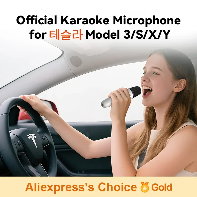 Microphone karaoké T1-Nach pour voiture, rechargeable, avec récepteur USB-A et USB-C, prêt à l'emploi sans appairage