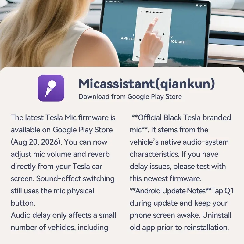 Microphone karaoké T1-Nach pour voiture, rechargeable, avec récepteur USB-A et USB-C, prêt à l'emploi sans appairage 5
