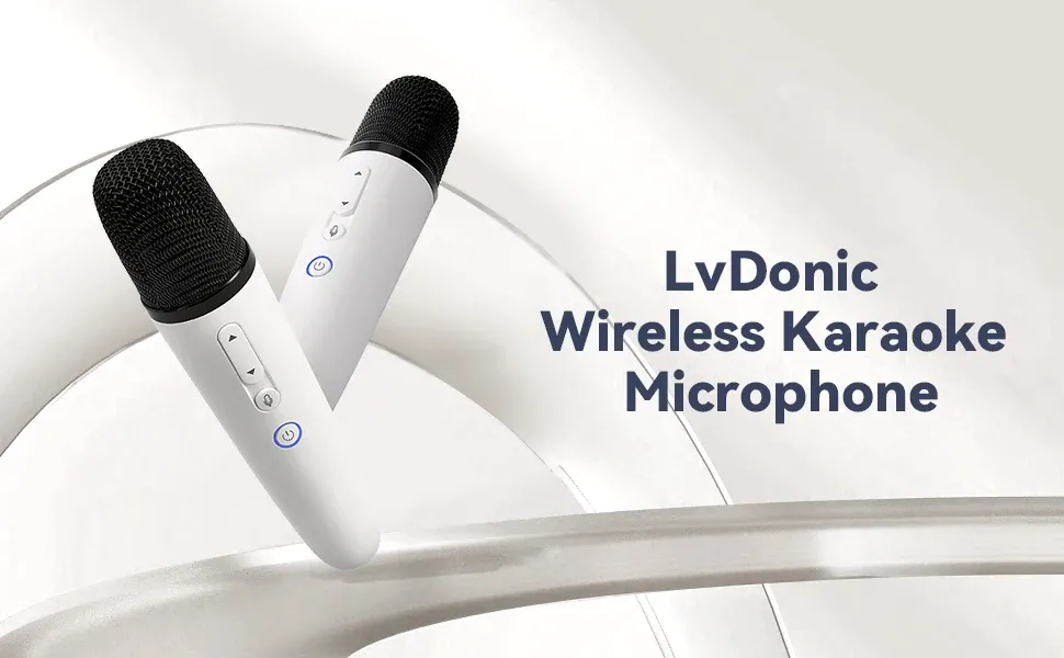 Microphone karaoké pour voiture, vue détaillée