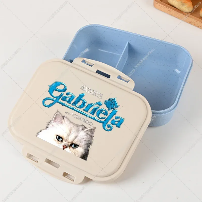 Boîte à lunch Bento Katseye, design Kpop, contenant de rangement alimentaire pour l'école et les pique-niques 17