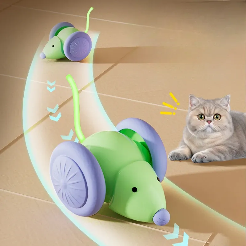 Jouet interactif pour chat dans un intérieur