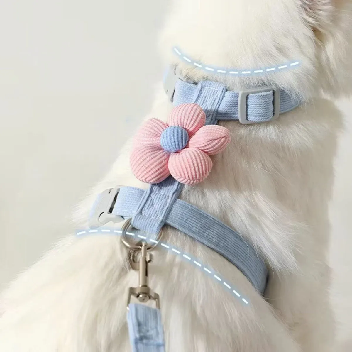 Ensemble harnais et laisse réglable pour chat et petit chien 3