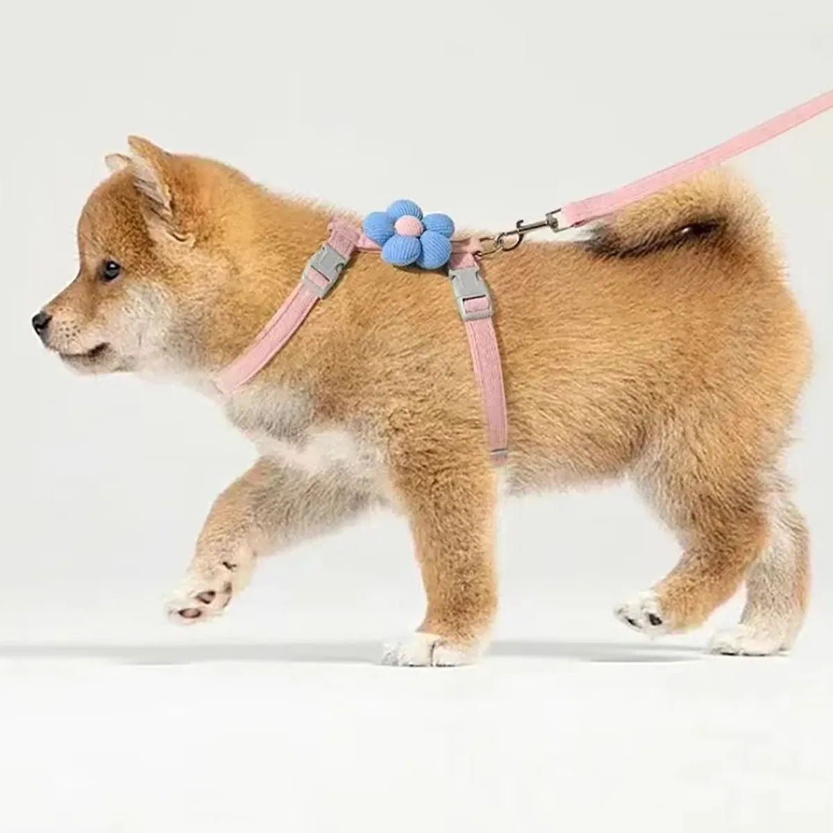 Ensemble harnais et laisse réglable pour chat et petit chien 5