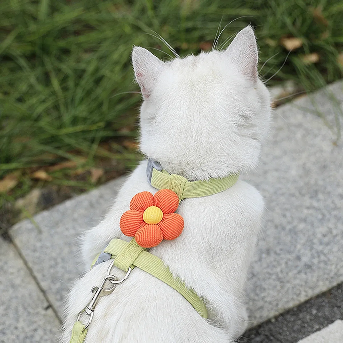 Harnais pour chat, confort au quotidien