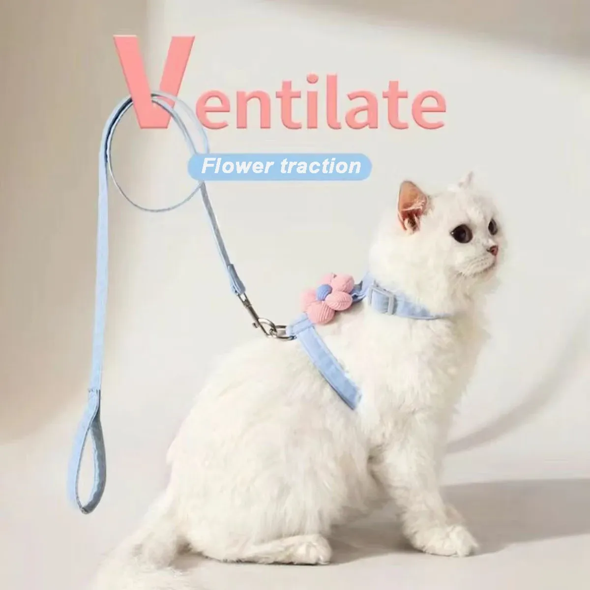 Harnais pour chat, sangle de poitrine