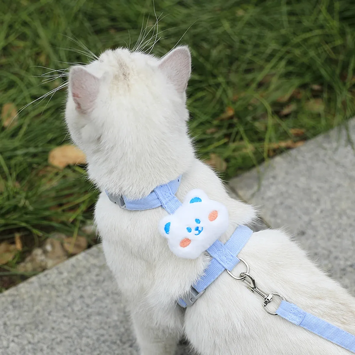 Ensemble harnais et laisse réglable pour chat et petit chien 8