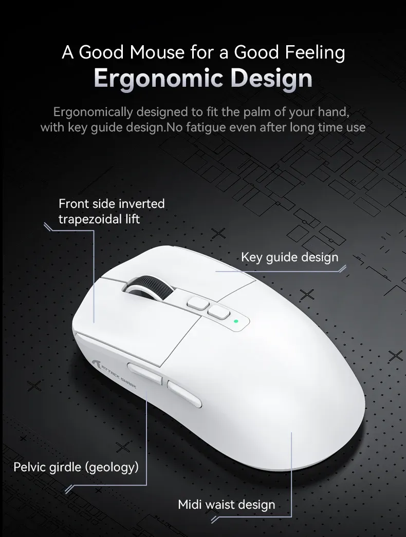 Accessoires inclus avec la souris Attack Shark
