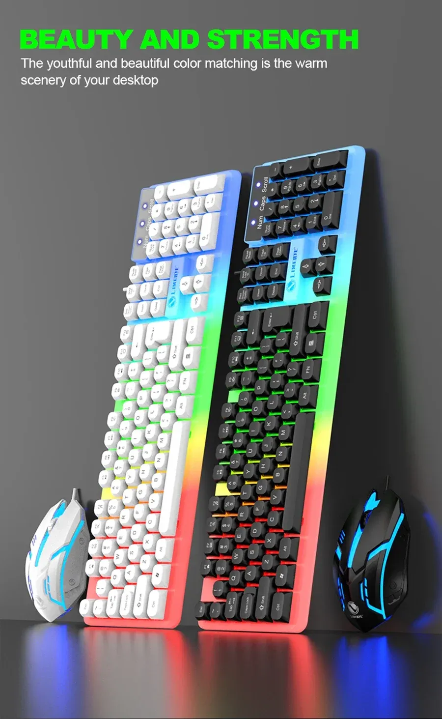 Détail de l'éclairage LED du clavier