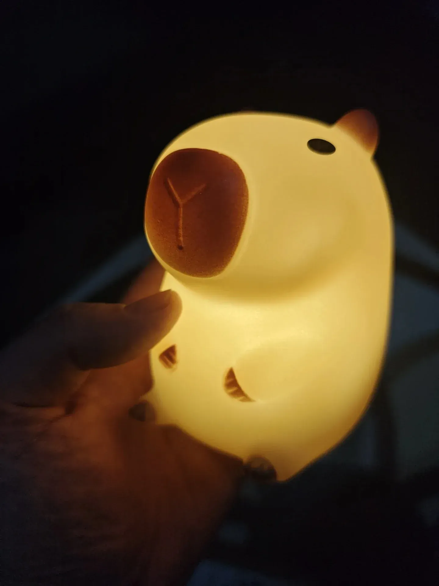 Veilleuse Capybara Mignonne en Silicone, Lampe de Chevet Créative pour la Décoration de Chambre, Cadeau d'Anniversaire 2