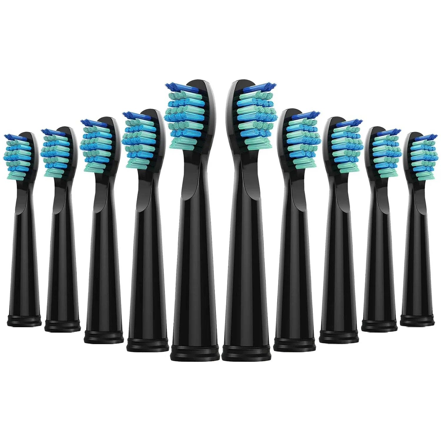 Têtes de brosse de rechange pour brosse à dents électrique SEAGO, lot de 4, 5, 10 ou 20 pièces, compatibles SG910, SG507, SG958, SG515, SG949, SG575 et SG551 1