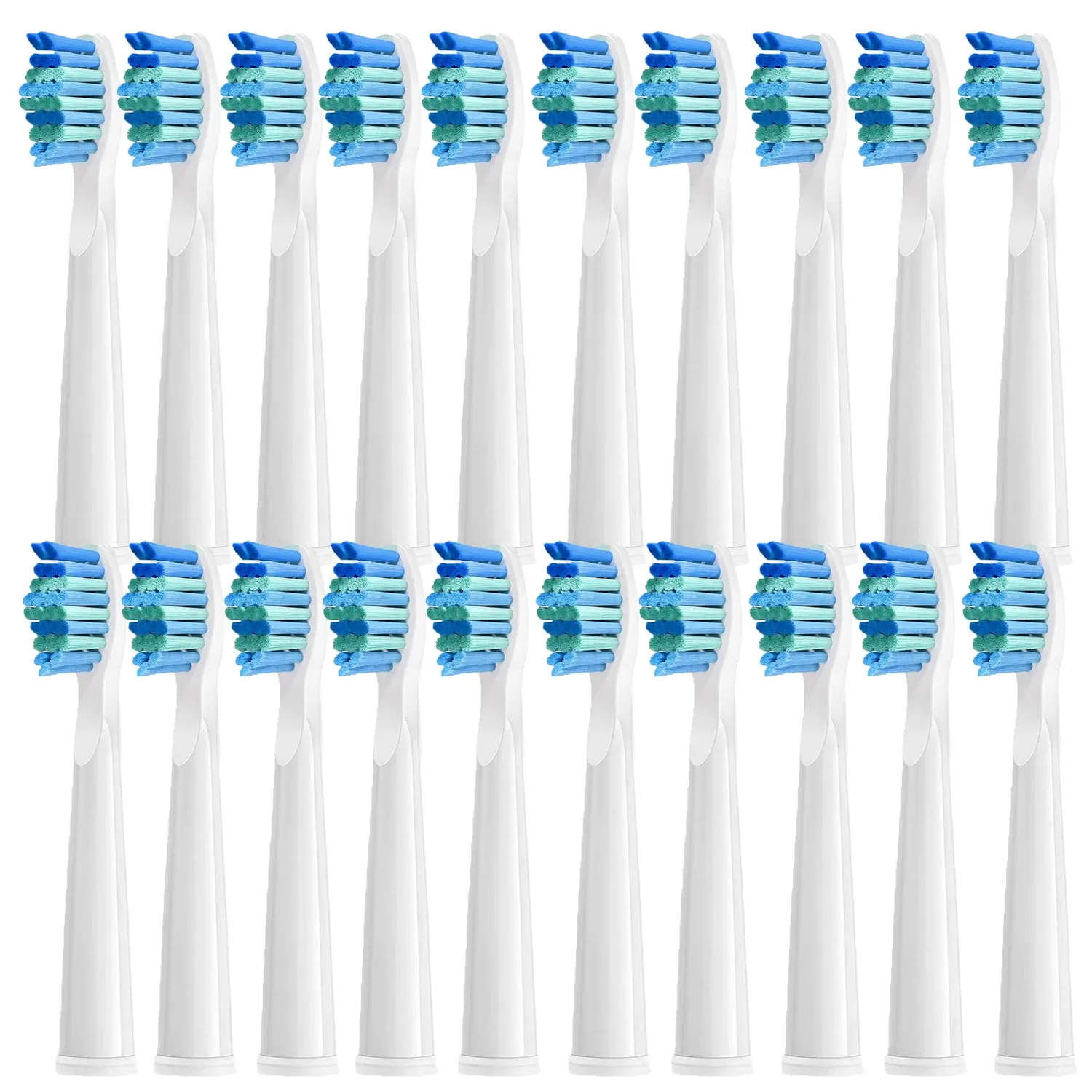 Têtes de brosse de rechange pour brosse à dents électrique SEAGO, lot de 4, 5, 10 ou 20 pièces, compatibles SG910, SG507, SG958, SG515, SG949, SG575 et SG551 12