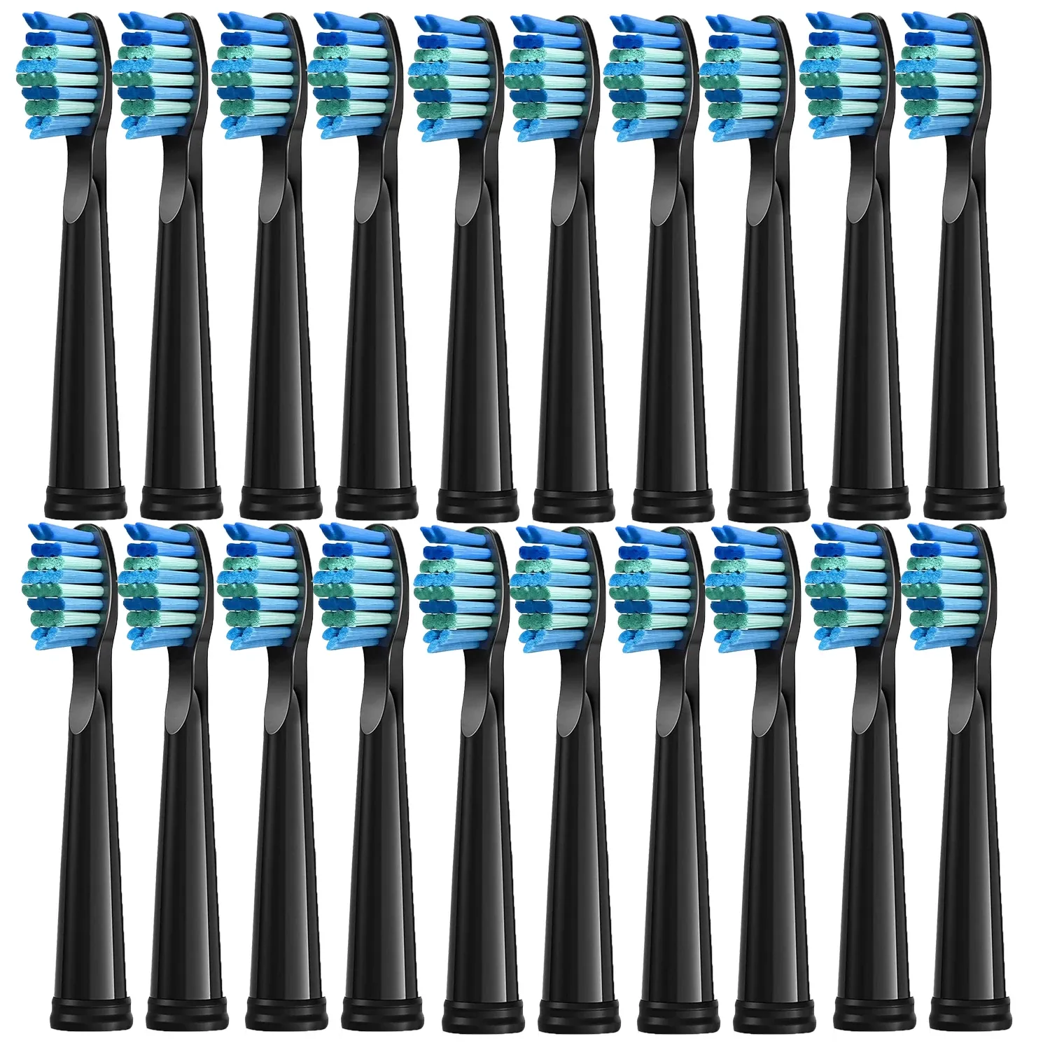 Têtes de brosse de rechange pour brosse à dents électrique SEAGO, lot de 4, 5, 10 ou 20 pièces, compatibles SG910, SG507, SG958, SG515, SG949, SG575 et SG551 11