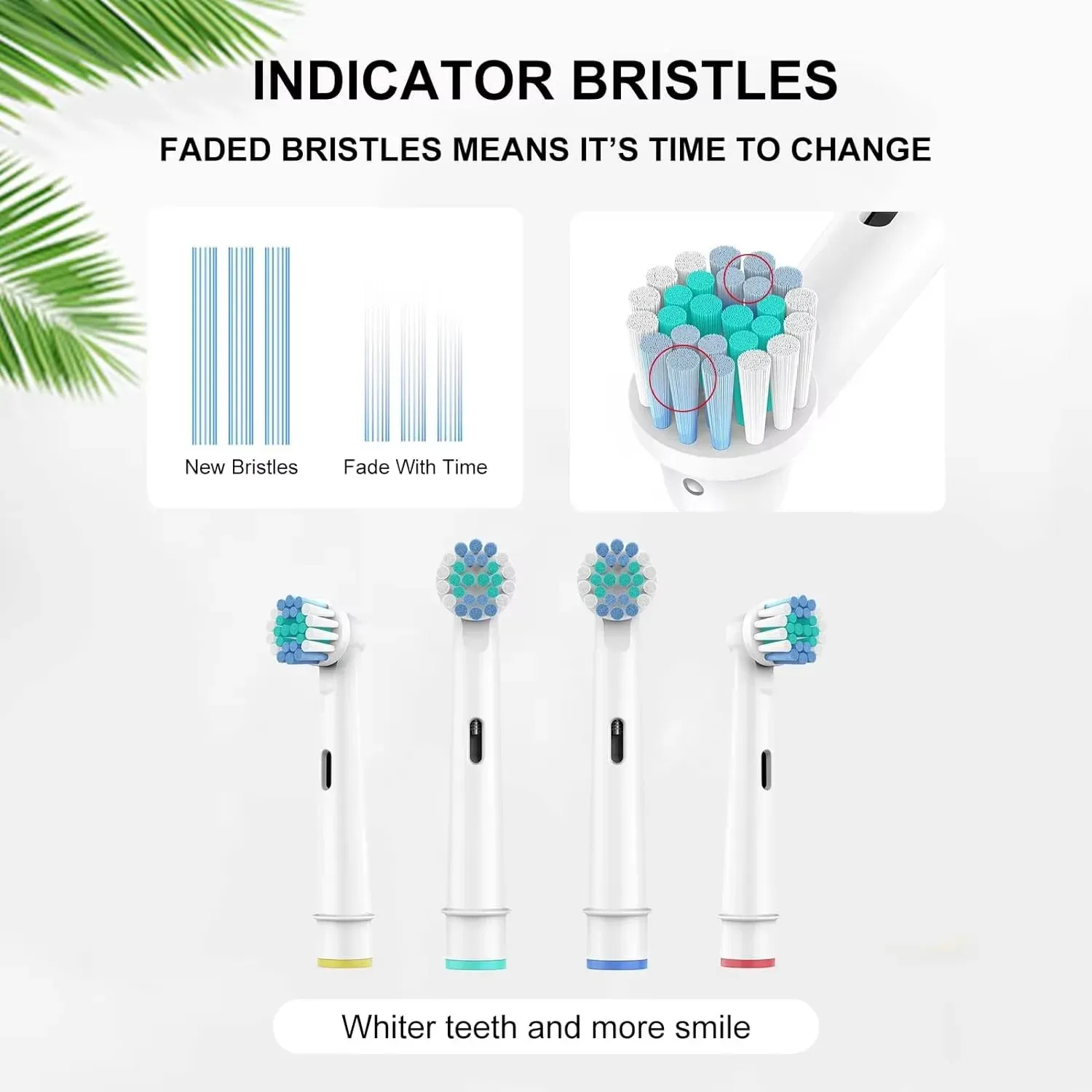 Têtes de brosse de rechange présentées avec élégance