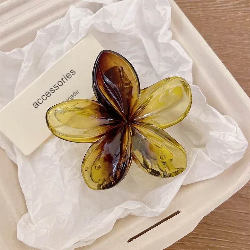 Pince à Cheveux Géométrique en Métal, Pince Crabe Croisée Élégante pour Femme et Fille 13