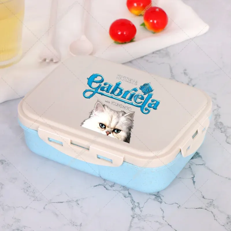 Katseye – Boîte à déjeuner Bento, contenant de stockage alimentaire imprimé K-pop Manon, boîte à déjeuner pour l'école et le bureau, chauffe-plat pour pique-nique, cadeau d'anniversaire pour filles 18