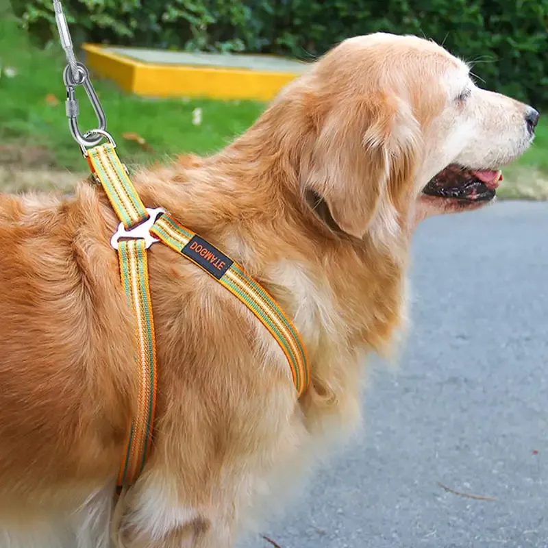 Laisse d'arrimage à double tête pour chien en câble d'acier antirouille avec boucle métallique, pour usage extérieur 3