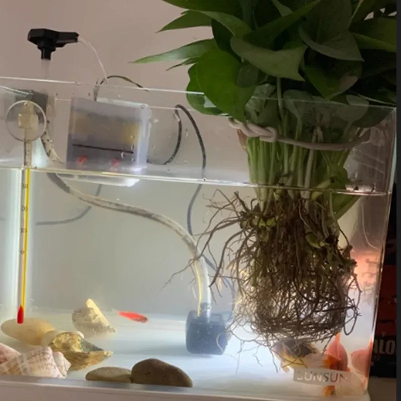 Pompe de filtration pour aquarium, prête à l'emploi