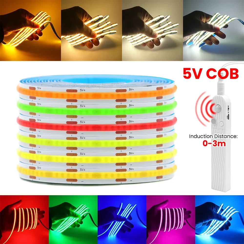 Détail de la bande LED installée