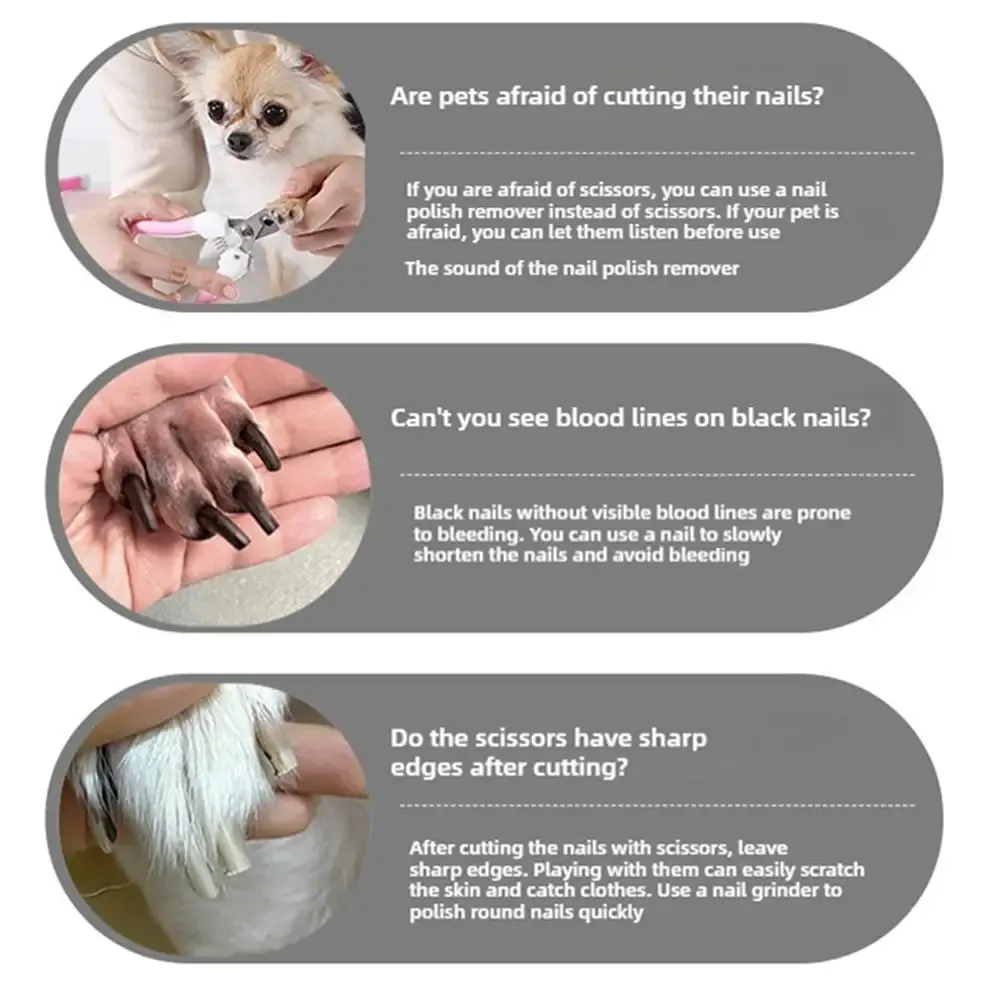 Coupe-ongles pour animaux de compagnie, tête de meulage
