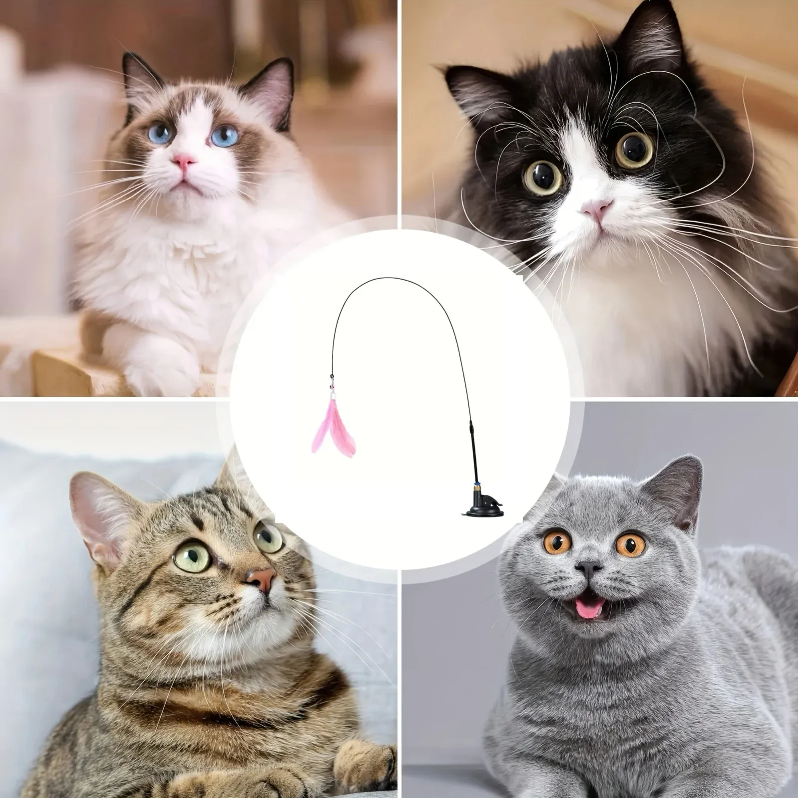 Perche à ventouse du jouet pour chat