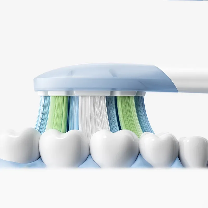 Gros plan sur les filaments de la brosse Xiaomi Mijia