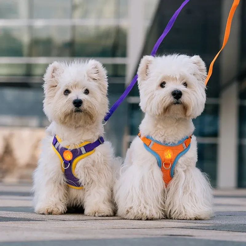 Harnais de traction en maille souple et respirante pour chiens de petite et moyenne taille 2