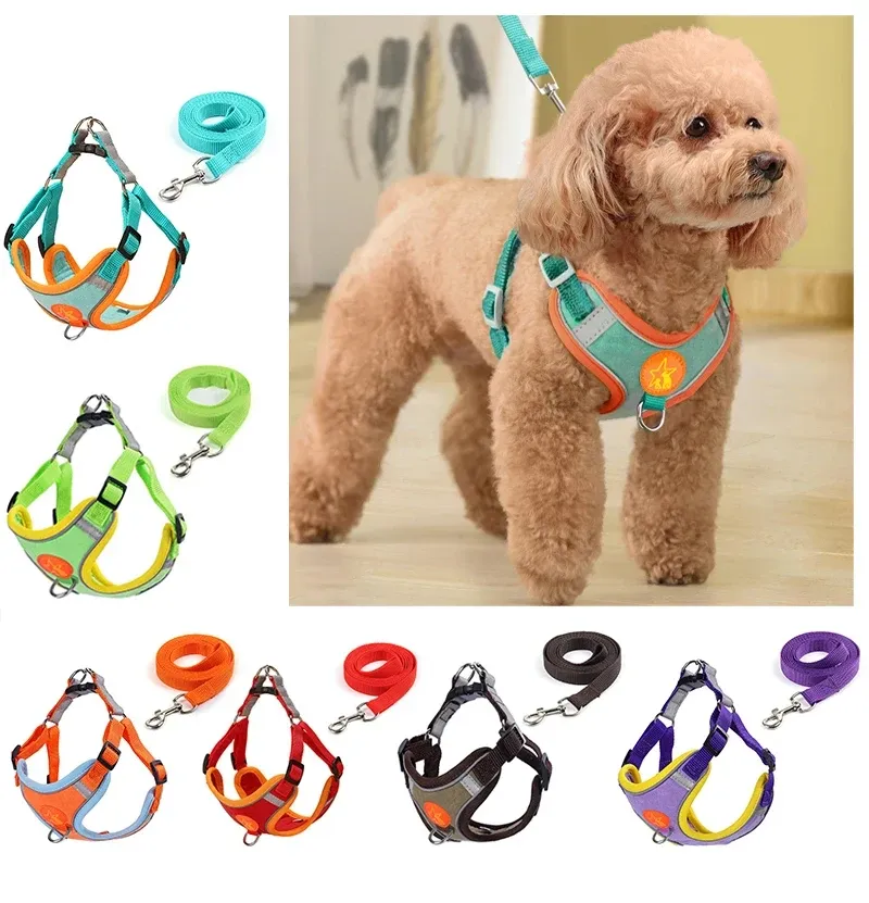 Harnais en maille souple pour petit chien